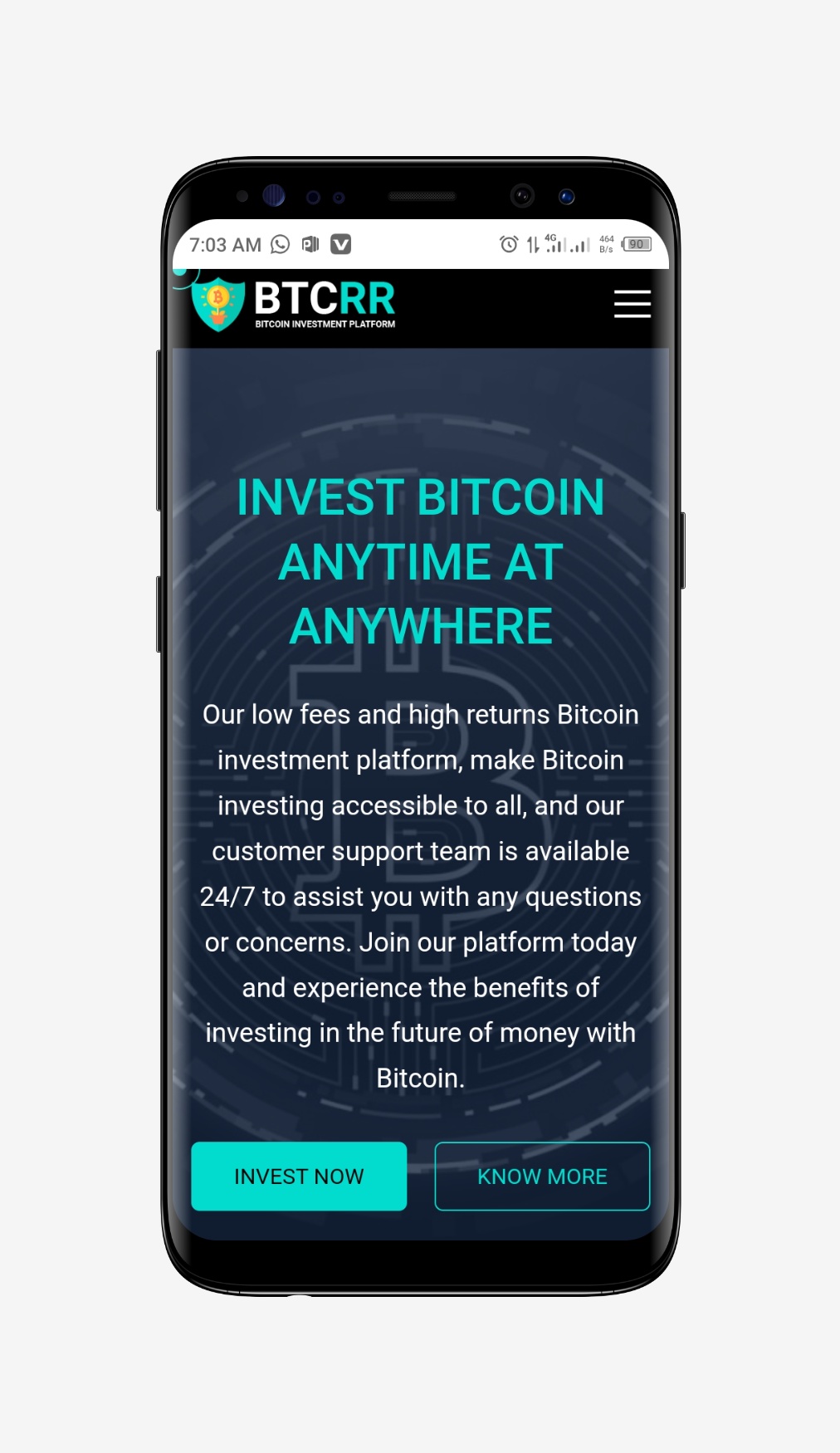 btcRR - Bitcoin Investment Script