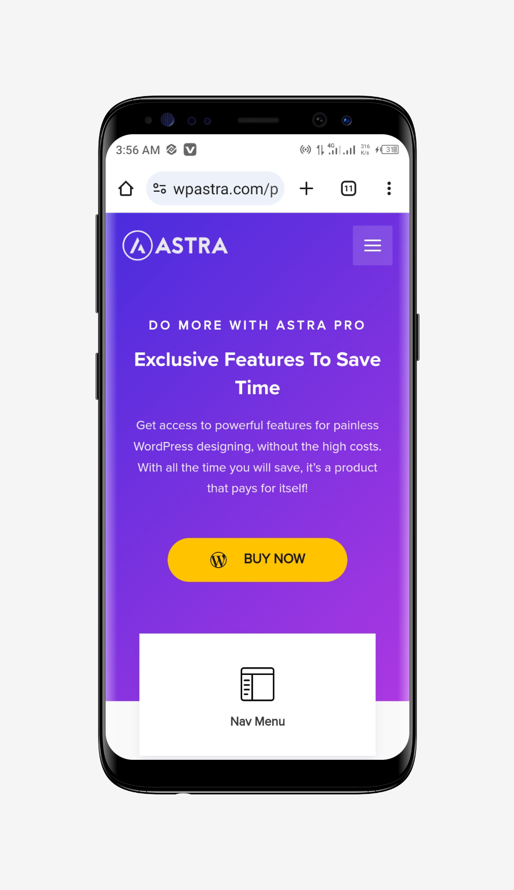 Astra Pro - WordPress Theme